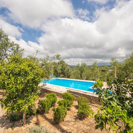 מת'וני Hakuna Matata Holidays Wooden Lodge With Airco & Pool In Greek Olive Grove מראה חיצוני תמונה