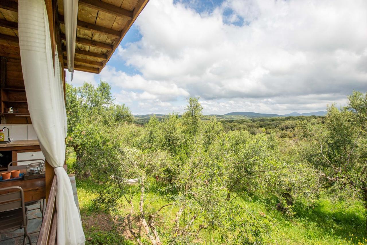 מת'וני Hakuna Matata Holidays Wooden Lodge With Airco & Pool In Greek Olive Grove מראה חיצוני תמונה