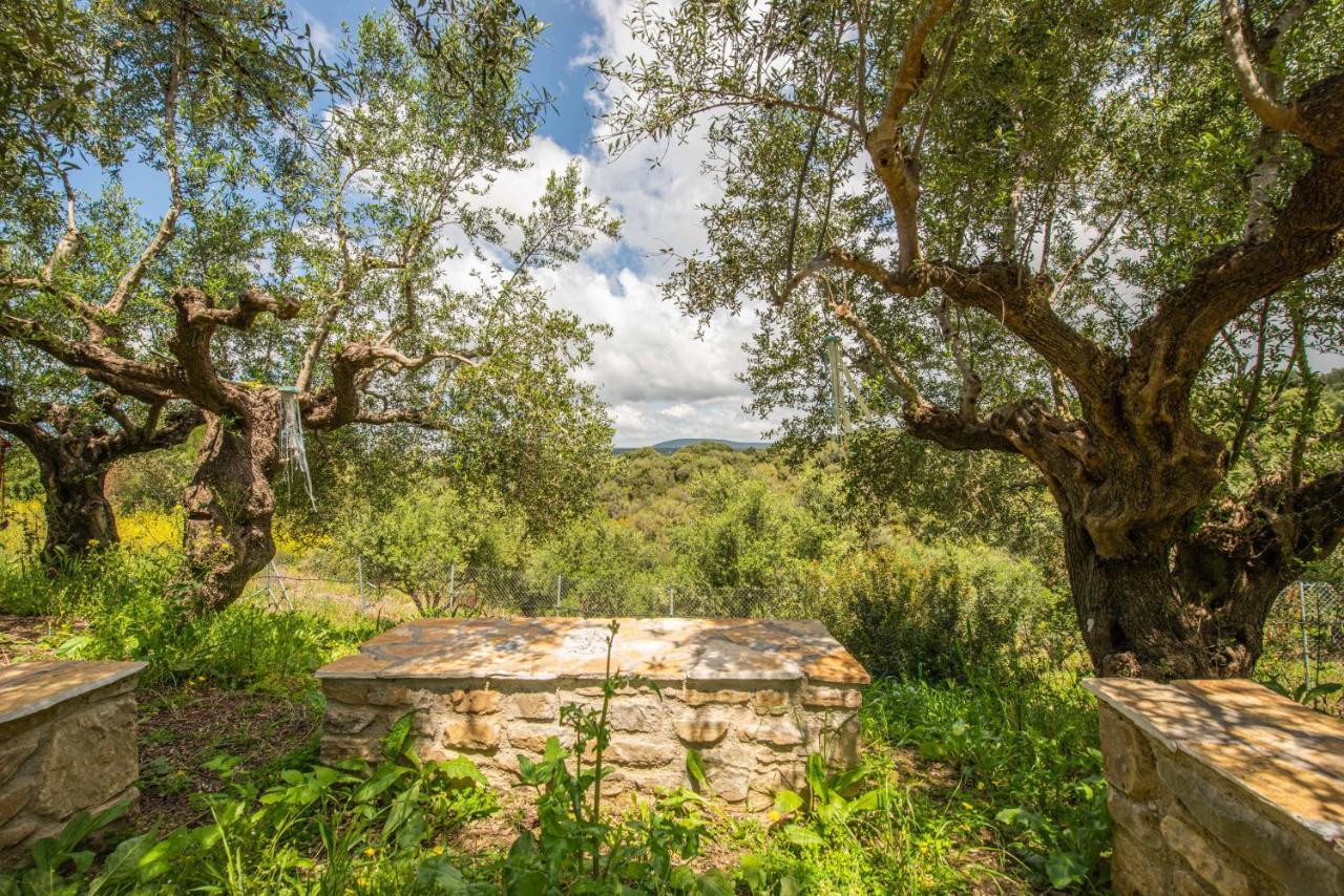 מת'וני Hakuna Matata Holidays Wooden Lodge With Airco & Pool In Greek Olive Grove מראה חיצוני תמונה