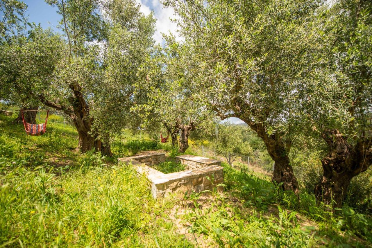 מת'וני Hakuna Matata Holidays Wooden Lodge With Airco & Pool In Greek Olive Grove מראה חיצוני תמונה