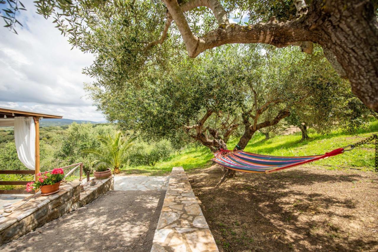 מת'וני Hakuna Matata Holidays Wooden Lodge With Airco & Pool In Greek Olive Grove מראה חיצוני תמונה
