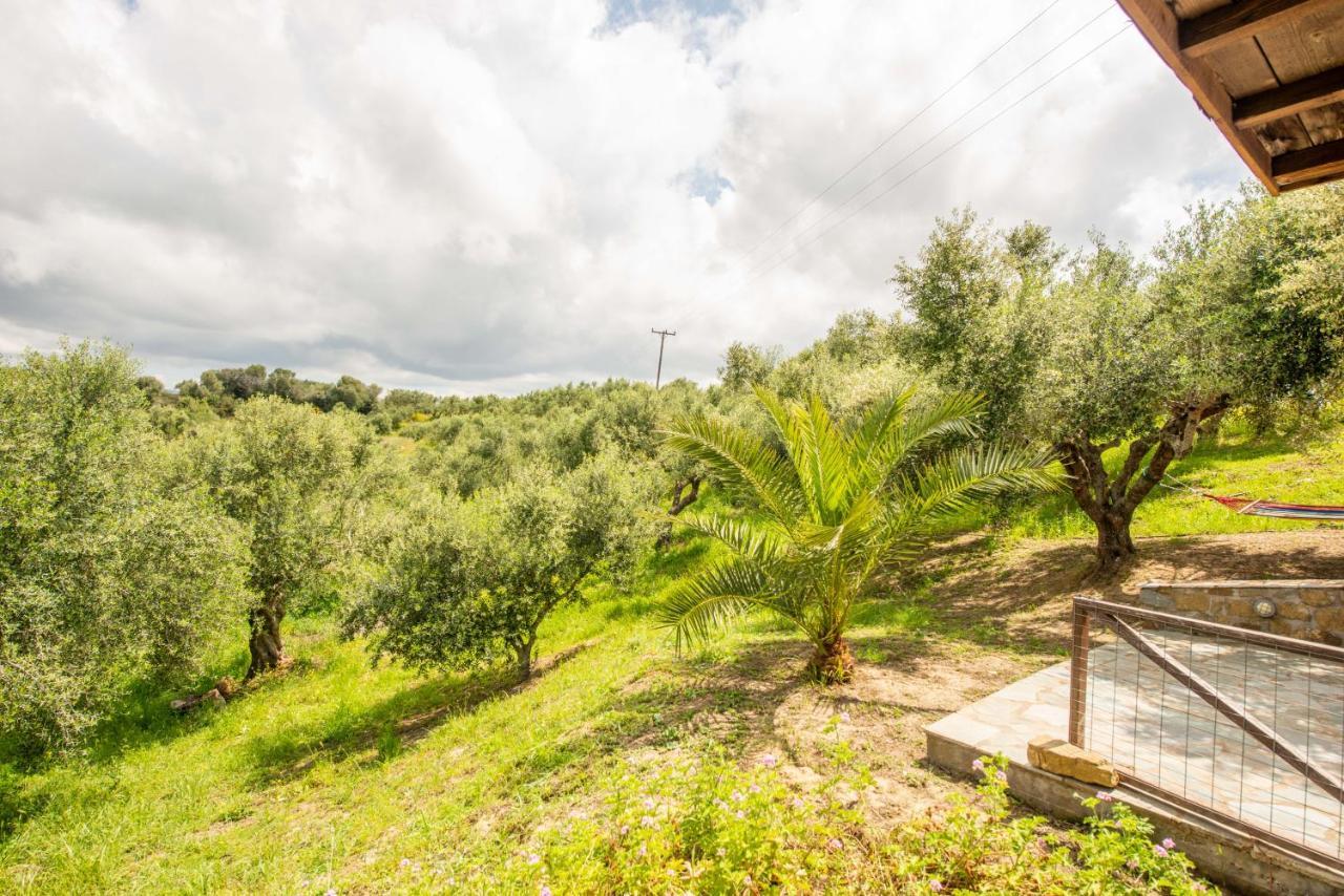 מת'וני Hakuna Matata Holidays Wooden Lodge With Airco & Pool In Greek Olive Grove מראה חיצוני תמונה