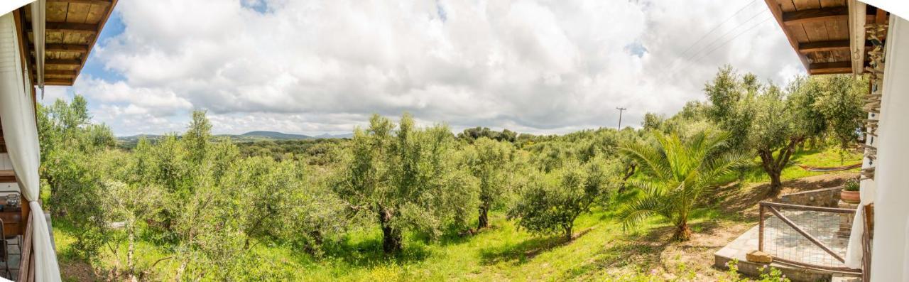 מת'וני Hakuna Matata Holidays Wooden Lodge With Airco & Pool In Greek Olive Grove מראה חיצוני תמונה