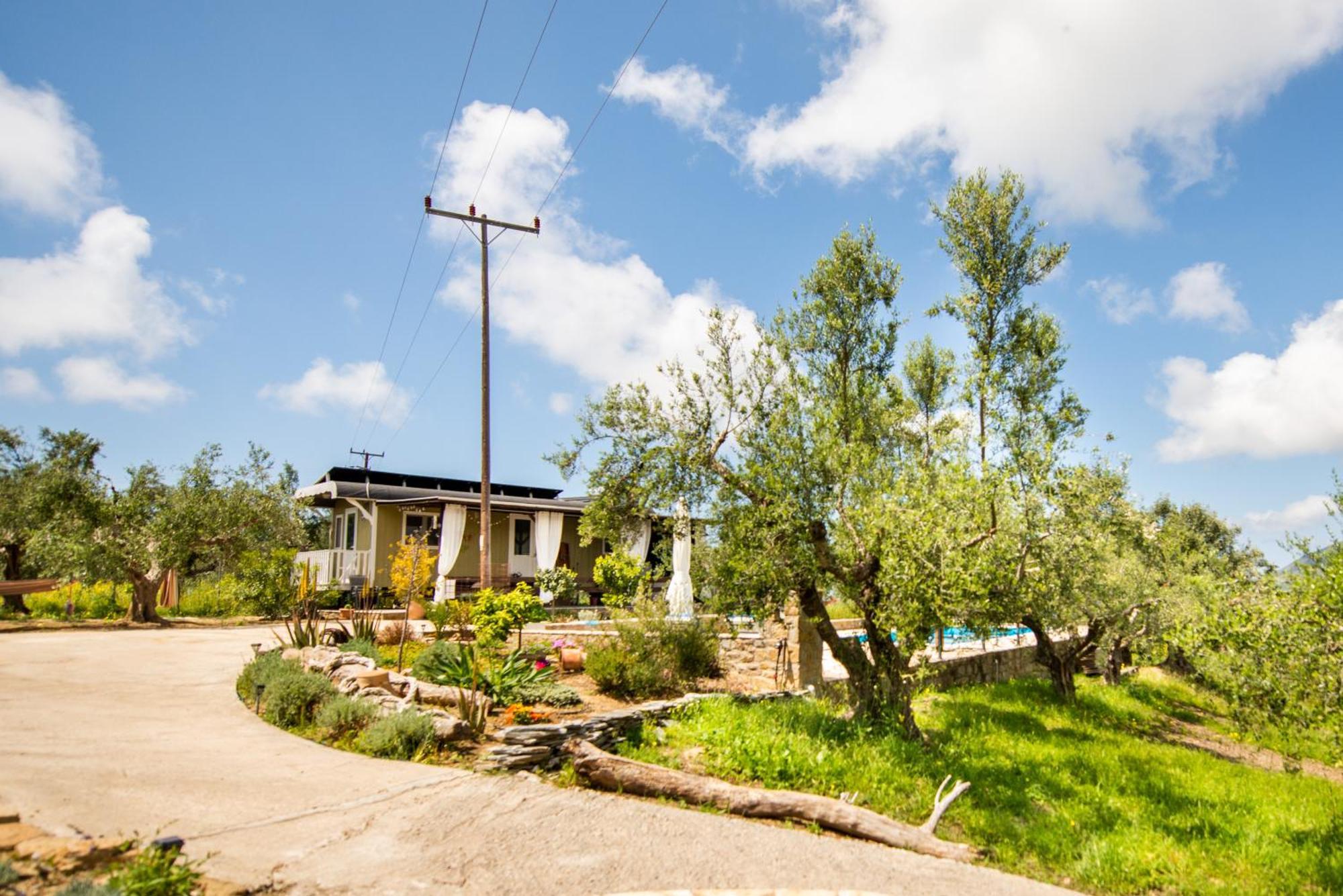 מת'וני Hakuna Matata Holidays Wooden Lodge With Airco & Pool In Greek Olive Grove מראה חיצוני תמונה